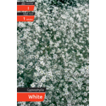 Gipsóka White kapers I