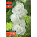 Malwa White kapers I