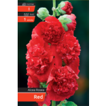 Malwa Red kapers I