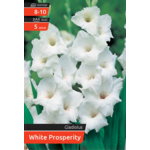 Mieczyk White Prosperity kapers 8-10