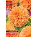 Dalia Decorative Orange kapers II