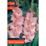 Mieczyk Rose Supreme kapers  8-10