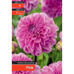 Dalia Decorative Pink kapers II