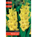 Mieczyk Nova Lux kapers 8-10