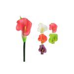 Kalia 68 cm mix kolorów