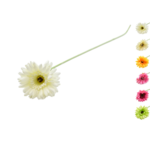 Gerbera pojedyncza 52 cm mix kolorów