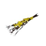 Bazie małe bez listków 24 cm