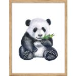 Obraz 30 x 40 cm K3040,103