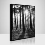 Obraz 50 x 70 cm SB 087L18,37,001
