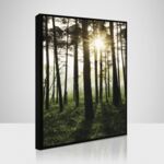 Obraz 50 x 70 cm SB 093L18,37,001