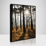 Obraz 70 x 100 cm SB 019L18,37,001