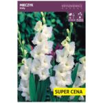 Cebula kwiatowa Mieczyk biały luz 14 - 16 cm