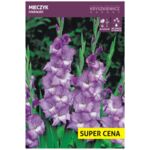 Cebula kwiatowa Mieczyk niebieski luz 14 - 16 cm