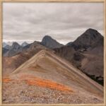 Obraz 20 x 20 cm DB2020,086