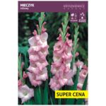 Cebula kwiatowa Mieczyk różowy luz 14 - 16 cm
