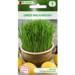 Nasiona Owies wielkanocny 20 g