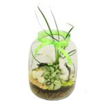 Rośliny mix osłonka szklana 1032