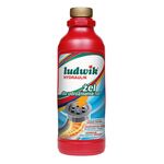 Żel do udrożniania rur i syfonów 1 kg LUDWIK