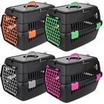 Transporter Teddy mix kolor M