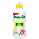 Płyn do mycia naczyń Ludwik cytrynowy 250 g