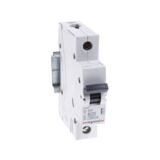 Wyłącznik nadprądowy 1P-B 20 A