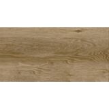 Gres szkliwiony G317 Brown 29,8 x 59,8 cm