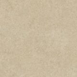Gres szkliwiony Hektor 20 mm 60 x 60 cm gat. I taupe Stargres