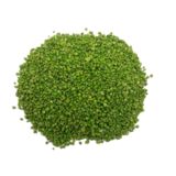 Żwirek dekoracyjny jabłko 0,5 kg