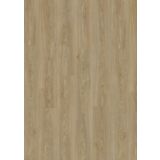 Panel podłogowy Dąb Gerbil AC4 7 mm