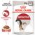 Karma mokra w sosie dla kotów dorosłych wybrednych 85 g Instinctive ROYAL CANIN
