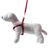 Smycz + szelki Soft Style czerwony L 2,0 cm