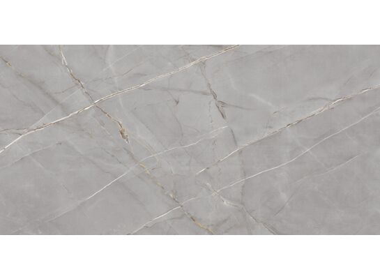 Gres szkliwiony ROYAL VALENCIA GREY 60X120 RECT (1,44) CARVING