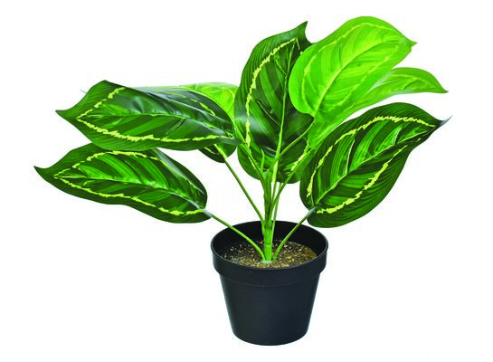 Kwiat sztuczny w doniczce Kalatea wys. 36cm