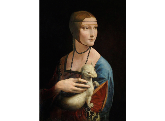 Obraz na płótnie 50 x 70 cm Dama z łasiczką