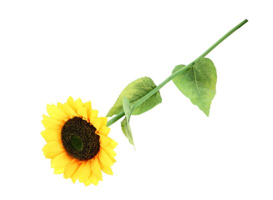 Słonecznik dekoracyjny 110 cm