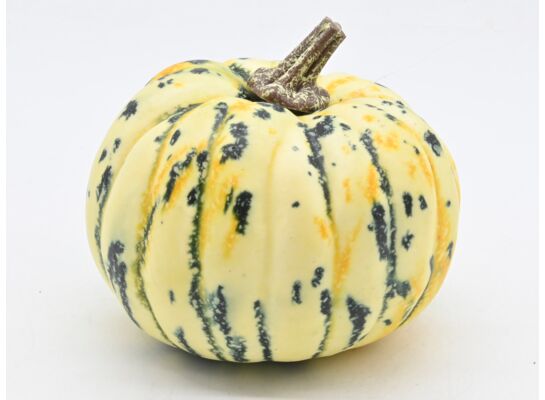 Dynia styropianowa 10 x 10 cm