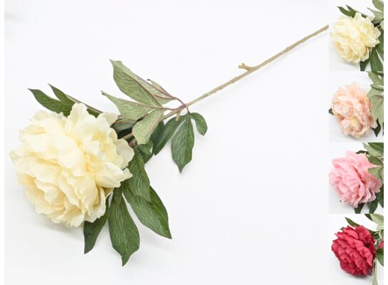 Peonia pojedyncza sztuczna 75 x 10 cm