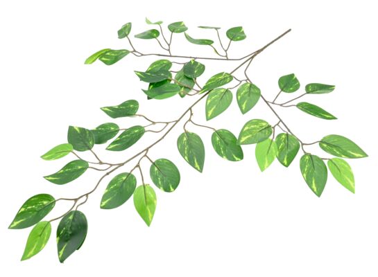 Liść fikusa real touch