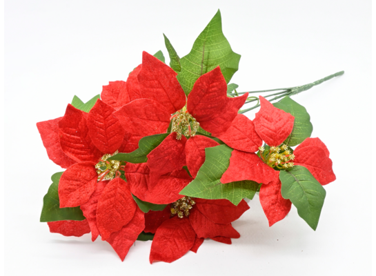 Poinsecja bukiet 50 x 27 cm 5 sztuk czerwony