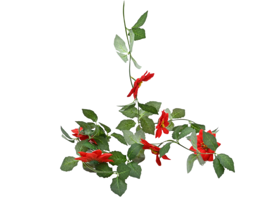 Girlanda listki z gwiazdą betlejemską 40 cm