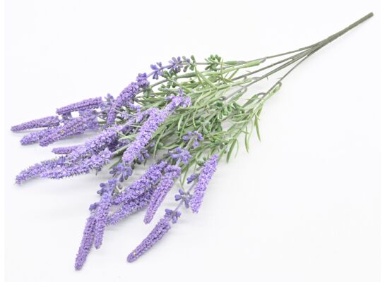 Lawenda bukiet 5 gałązek 45 cm