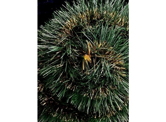 Łańcuch choinkowy 10 x 300 cm zielono-złoty