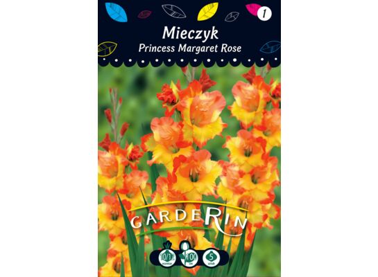Mieczyk Princess Margaret Rose rozmiar 10/12 5 sztuk