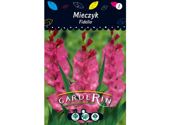 Mieczyk Fidelio rozmiar 10/12 5 sztuk ciemnoróżowy