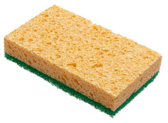 Zmywak kuchenny celulozowy Praktyczna 1 sztuk