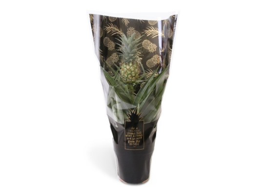 Ananas Mi Amigo 40 x 12 cm