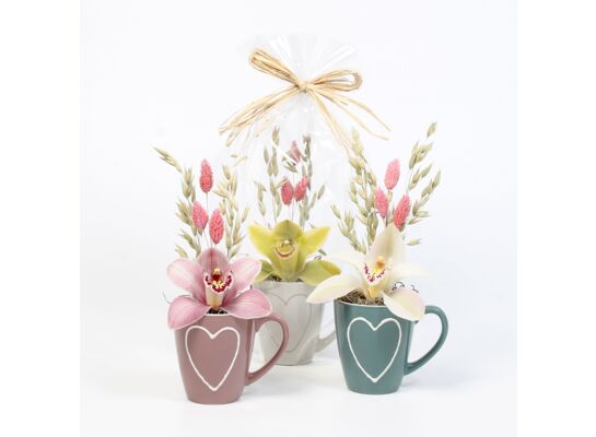 Cymbidium w kubku z sercem 24 x 10,5 cm