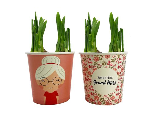 Narcyz Tete a Tete w papierowym kubku Bonne Fête Grand Mère 17 x 10 cm