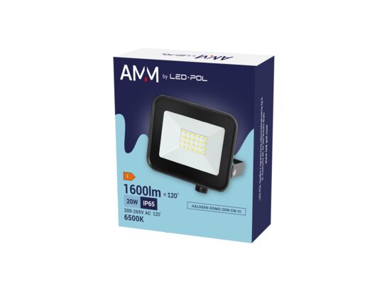 Naświetlacz halogen domo 20 W zimna biel CW III