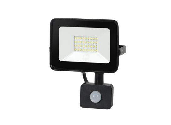 Naświetlacz halogen domo 30 W czujnik PIR zimna biel CW